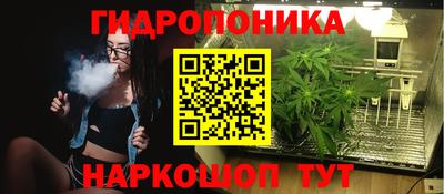 гидропоника Балахна
