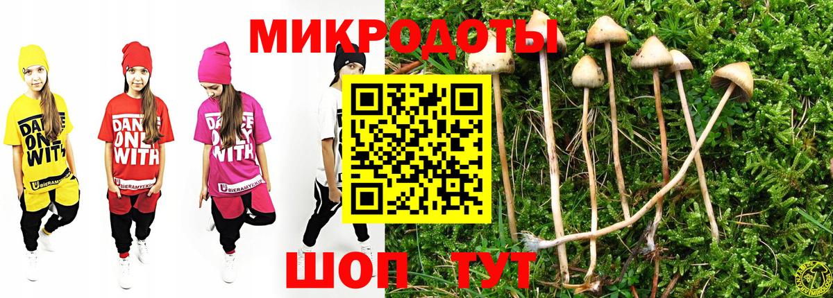 Железноводск  Псилоцибиновые грибы MAGIC MUSHROOMS  Вход с VPN 